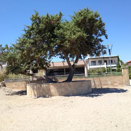 Amaryllis House לרדוס