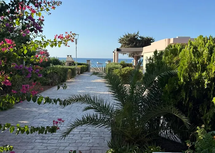 Amaryllis House لاردوس